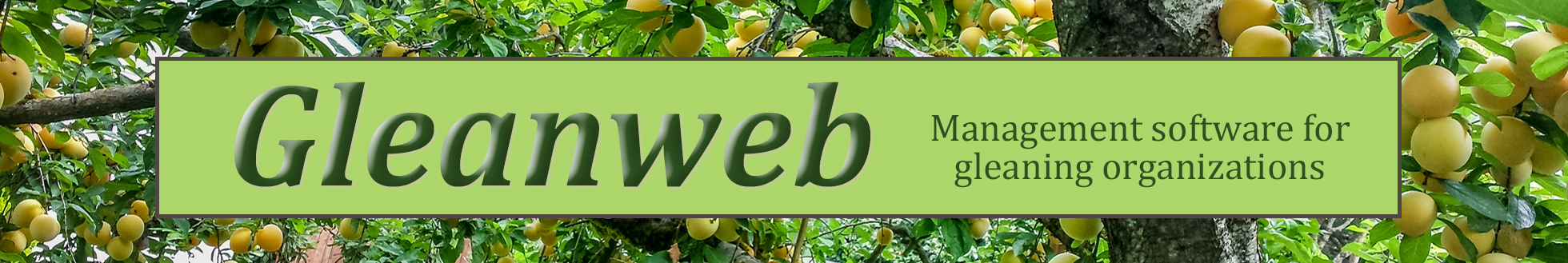 Gleanweb